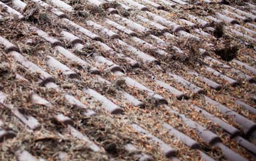 St Vincents Hamlet roof cleaning companies