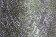 St Vincents Hamlet fibreglass roof work